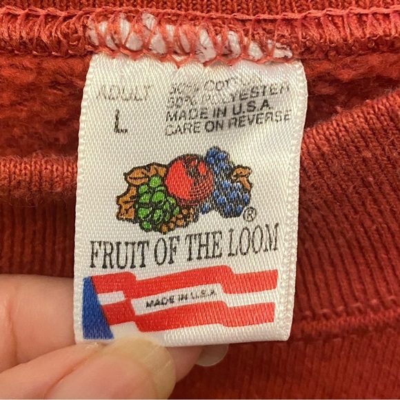 Vintage FRUIT OF THE LOOM Rust Orange Grand Canyon Graphic Sweatshirt Size Large - Picture 5 of 6